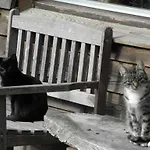 Gillishof Slowlife Üdülőpark Simpelveld