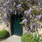 Gillishof Slowlife *