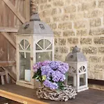 Gillishof Slowlife *