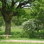 Gillishof Slowlife *