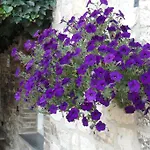 Gillishof Slowlife Üdülőpark