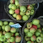 Gillishof Slowlife Üdülőpark *