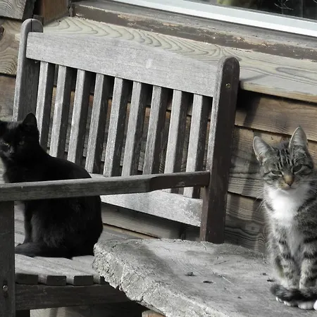 Homes Gillishof 홀리데이파크 심펠벨트