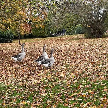 Gillishof Slowlife Stays