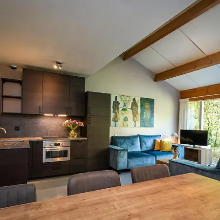Vakantiepark Homes Gillishof *