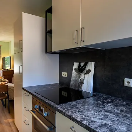 Homes Gillishof 홀리데이파크