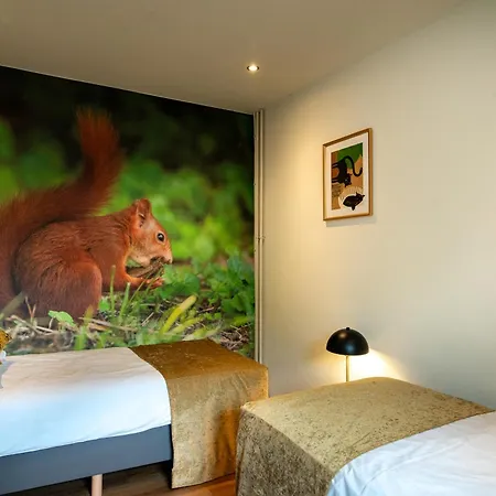 Homes Gillishof Parque de vacaciones Simpelveld