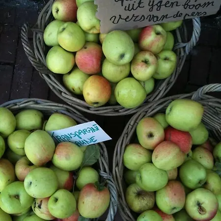 Homes Gillishof Ferienpark *