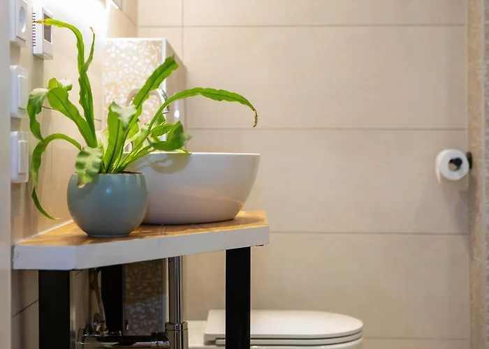 Gillishof Slowlife База отдыха Симпелвелд