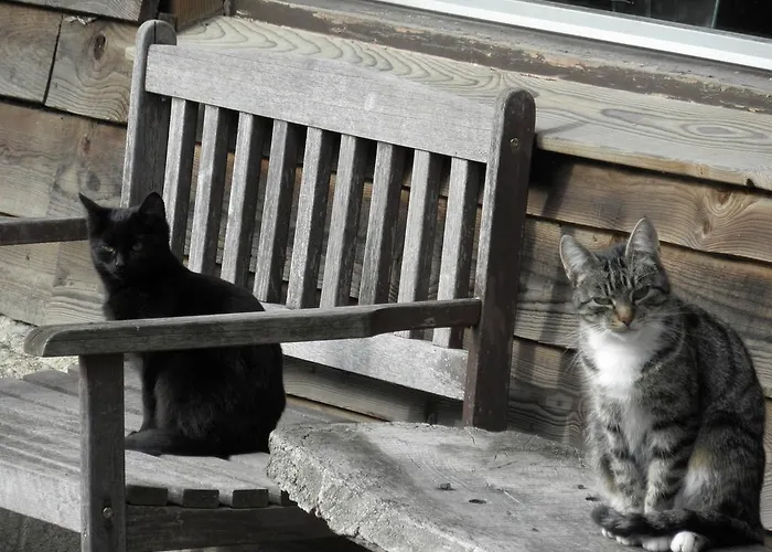 Gillishof Slowlife Prázdninový areál Simpelveld