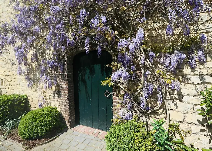 Gillishof Slowlife *