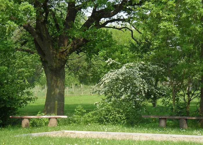 Gillishof Slowlife *