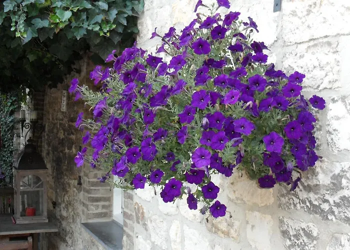 Gillishof Slowlife База отдыха