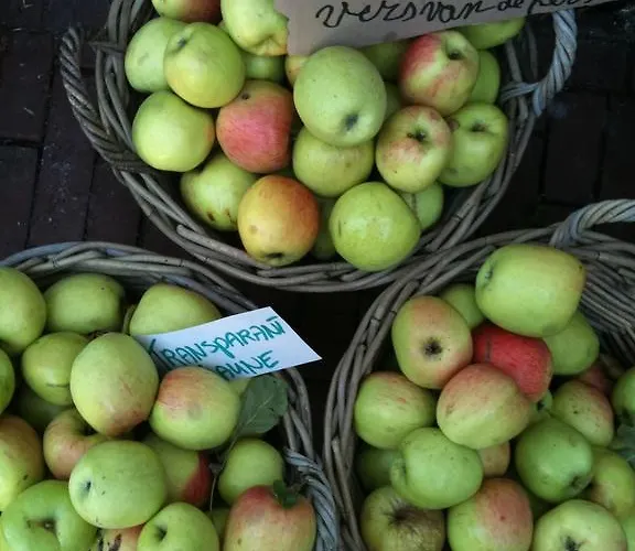 Gillishof Slowlife База отдыха *